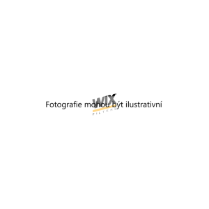 Vzduchový filtr (WIX 46541E) 3457938 Vzduchový filtr (WIX 46541E) 3457938