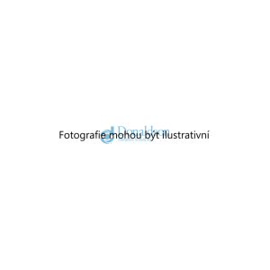 Olejový filtr (DONALDSON P551381) 3325738