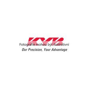 Pružiny pérování (KAYABA RA6668) 4781256 Pružiny pérování (KAYABA RA6668) 4781256