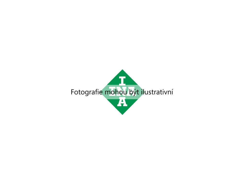 Napínací jednotka řemene (INA 534 0181 10) 9052092
