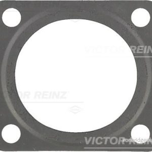 Těsnění, dmychadlo VICTOR REINZ 71-42133-00 Těsnění, dmychadlo VICTOR REINZ 71-42133-00