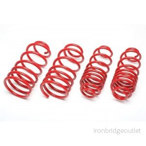 Sportovní pružiny 30/20mm Seat Ibiza 5 (6J) EVOSE084F